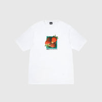 BERRIES S/S T-SHIRT
