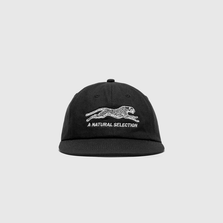 NATURAL SELECTION CAP