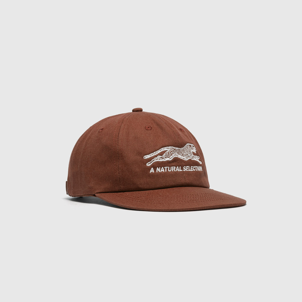 NATURAL SELECTION CAP