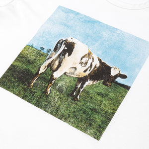 PINK FLOYD COW PAINTING S/S T-SHIRT