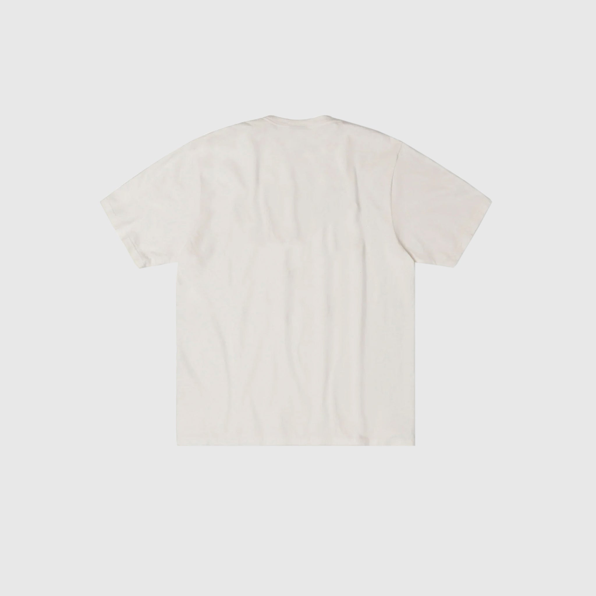 AUTHENTIC GEAR PIG. DYED S/S T-SHIRT