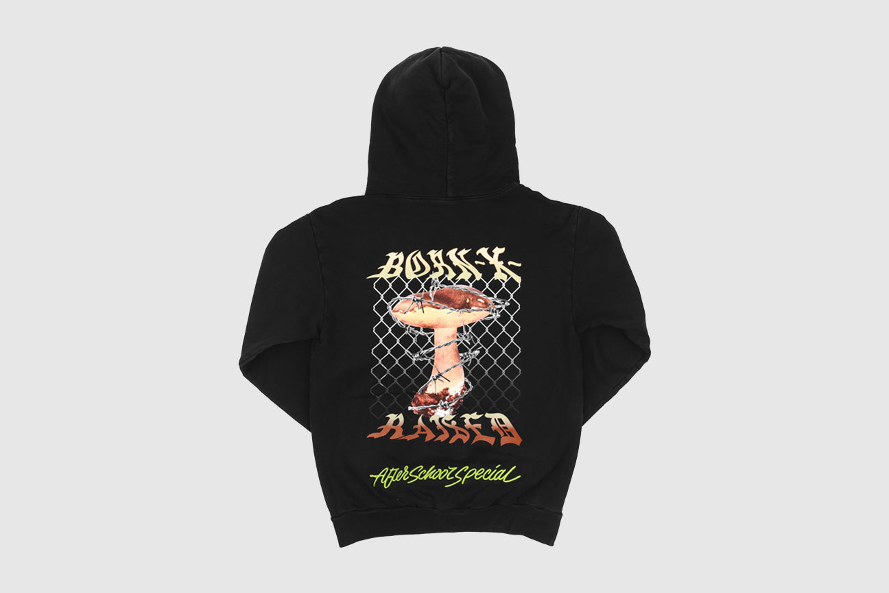 BORN X RAISED AFTER SCHOOL SPECIAL HOODY
