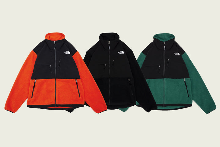 THE NORTH FACE FW20