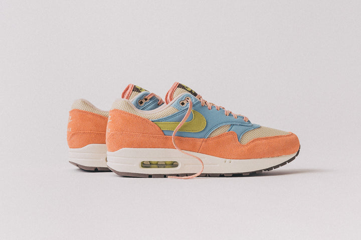 NIKE AIR MAX 1 "LIGHT MADDER ROOT"