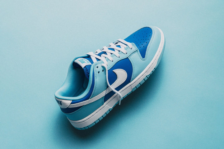 NIKE DUNK LOW RETRO SE "ARGON"