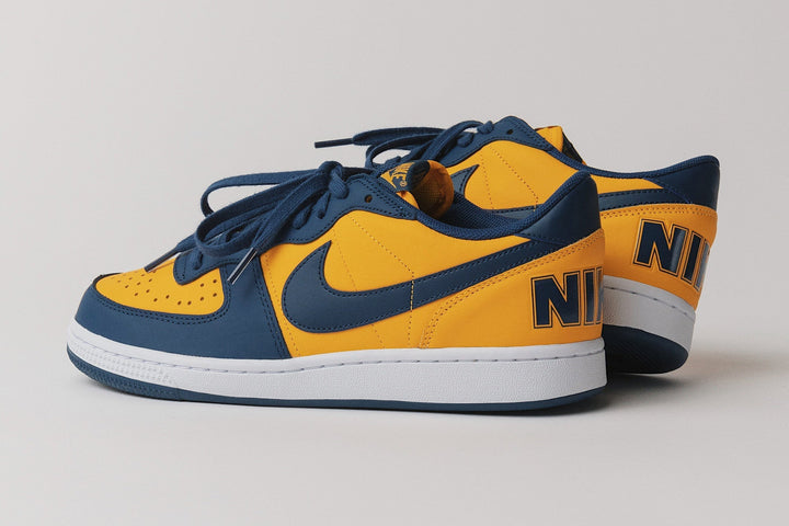 NIKE TERMINATOR LOW "MICHIGAN"