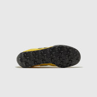 GATOR RUN "APOLLO GOLD"