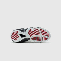 AIR ZOOM FLIGHT "THE GLOVE"