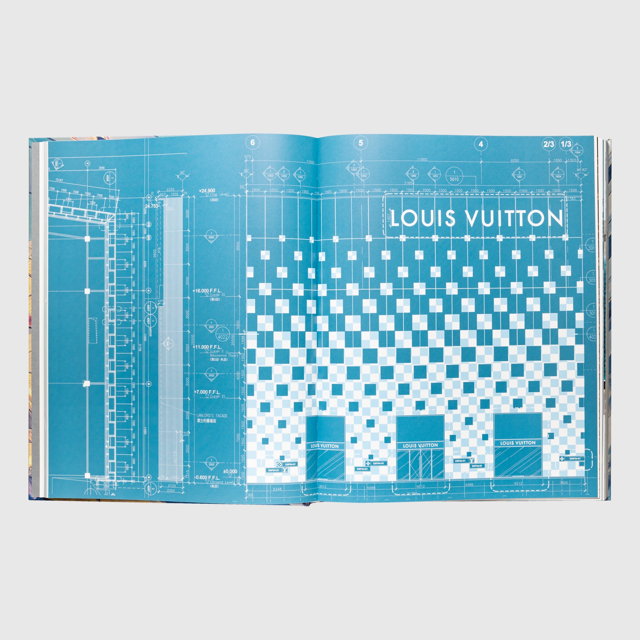 Louis Vuitton Skin: Architecture of Luxury Paris, English Version