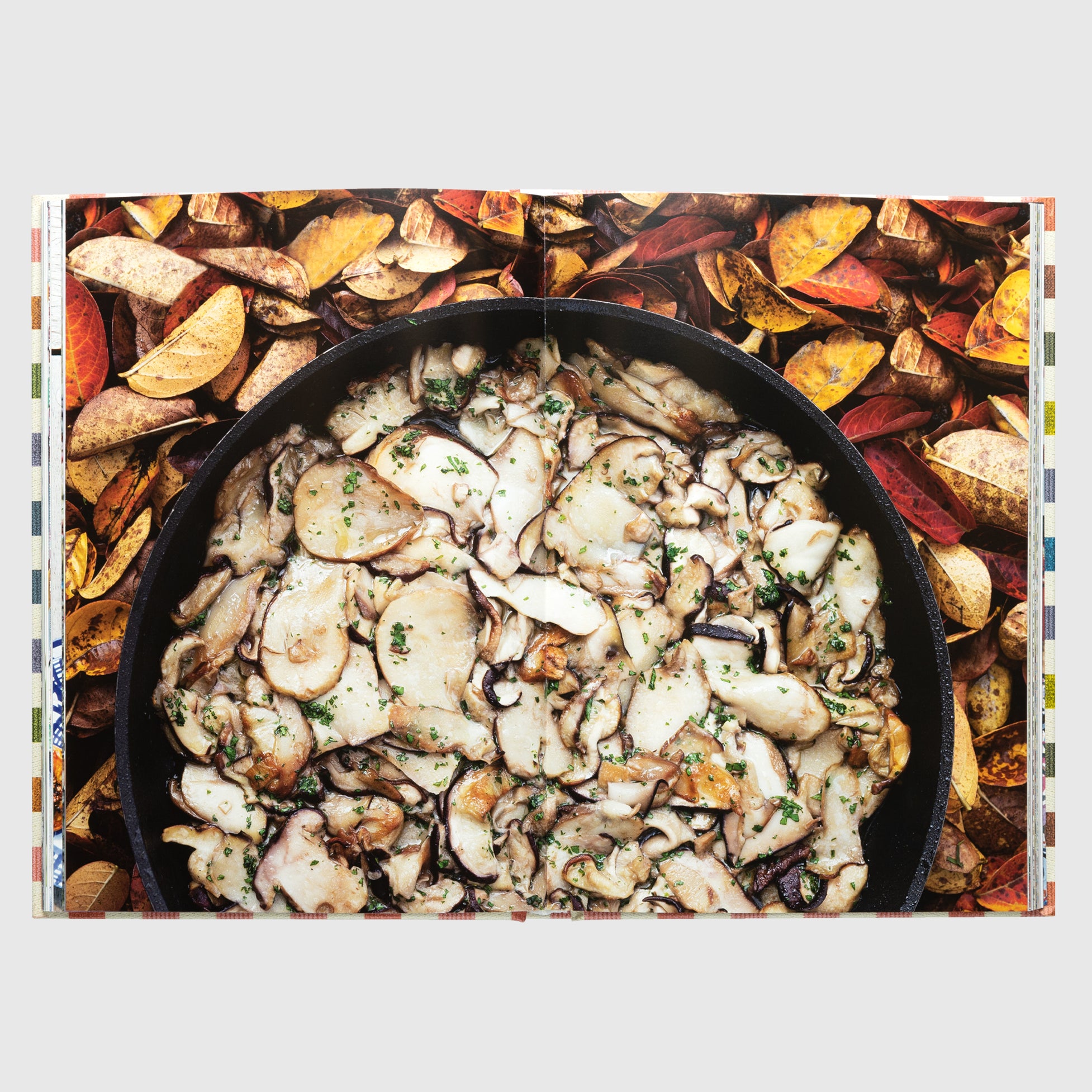 THE MISSONI FAMILY COOKBOOK