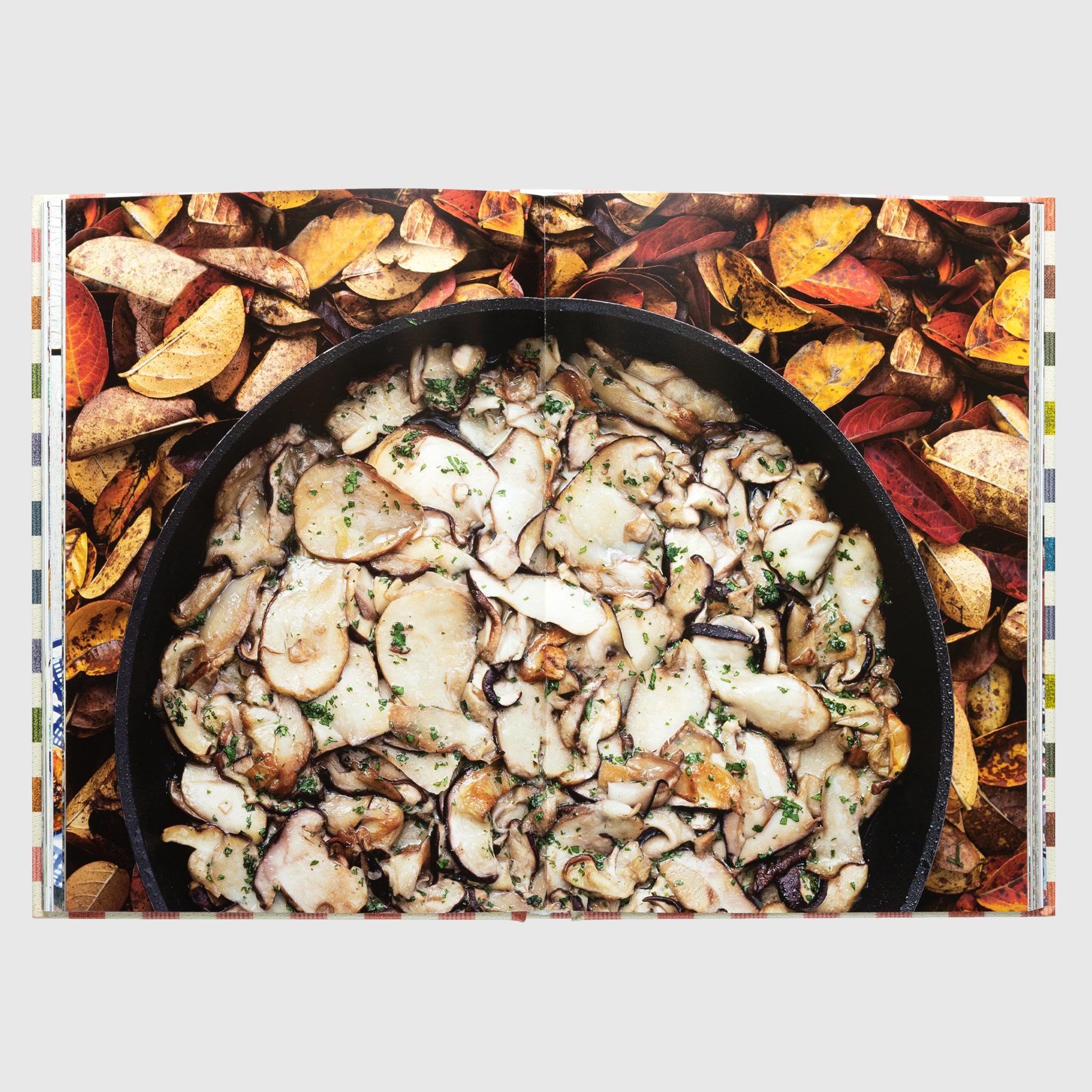 THE MISSONI FAMILY COOKBOOK