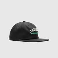 NATURAL SELECTION CAP 2 TONE CAP