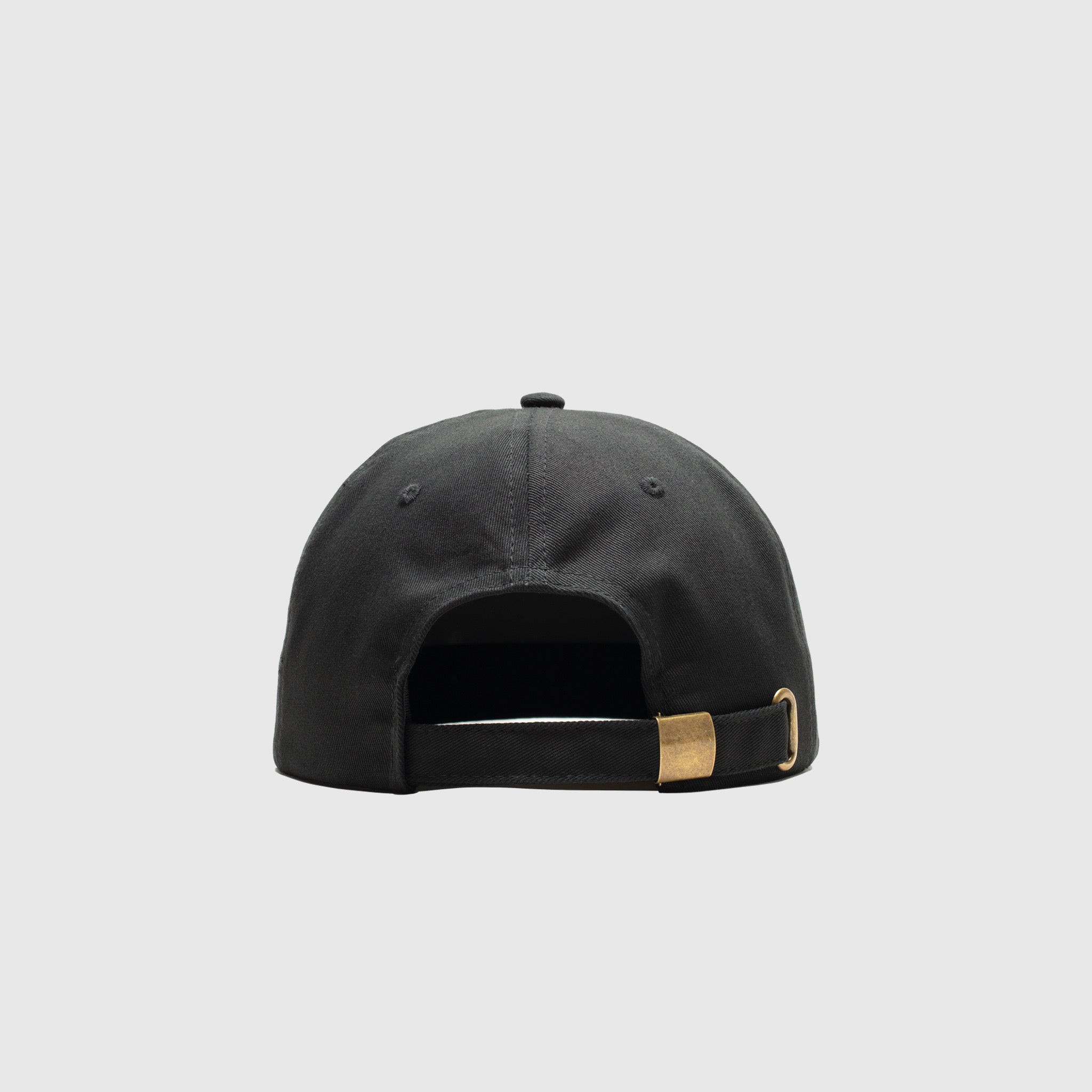 NATURAL SELECTION CAP 2 TONE CAP