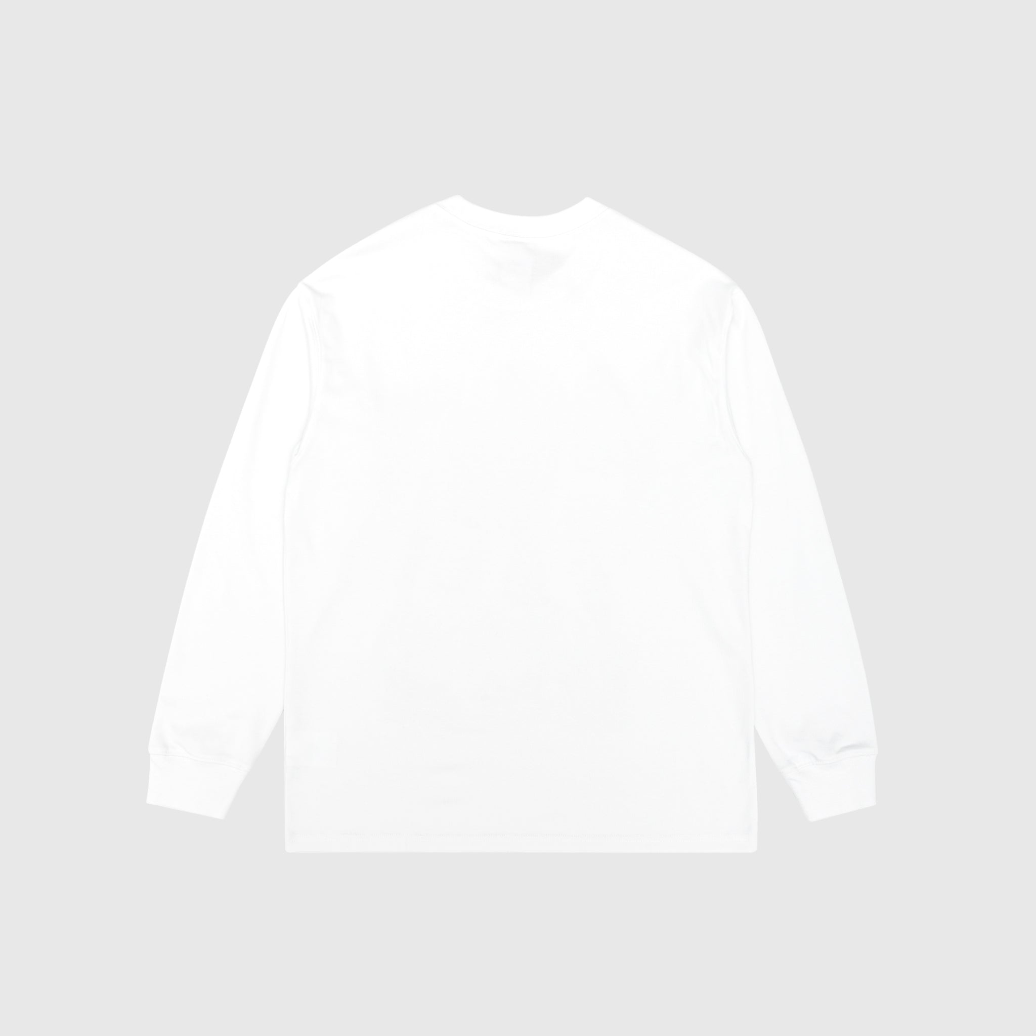 ACG "OC MINERAL" L/S T-SHIRT