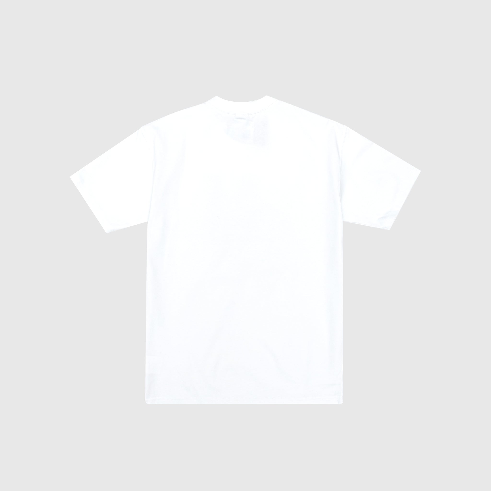 ACG "TOUCAN" S/S T-SHIRT "SUMMIT WHITE"