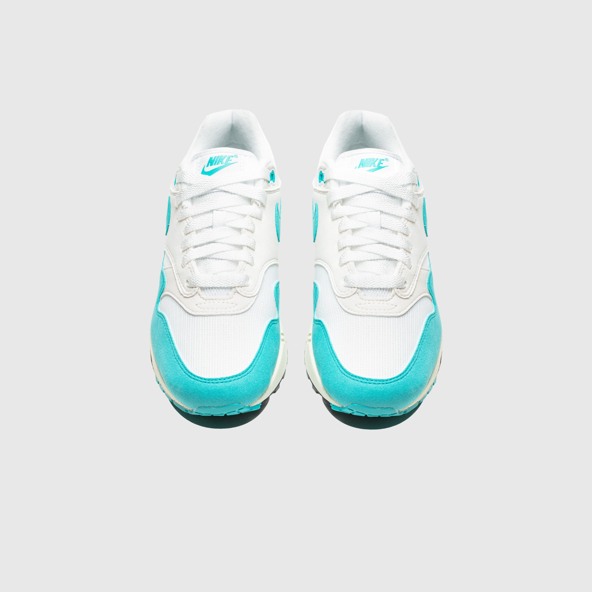 WMNS AIR MAX 1 "DUSTY CACTUS"
