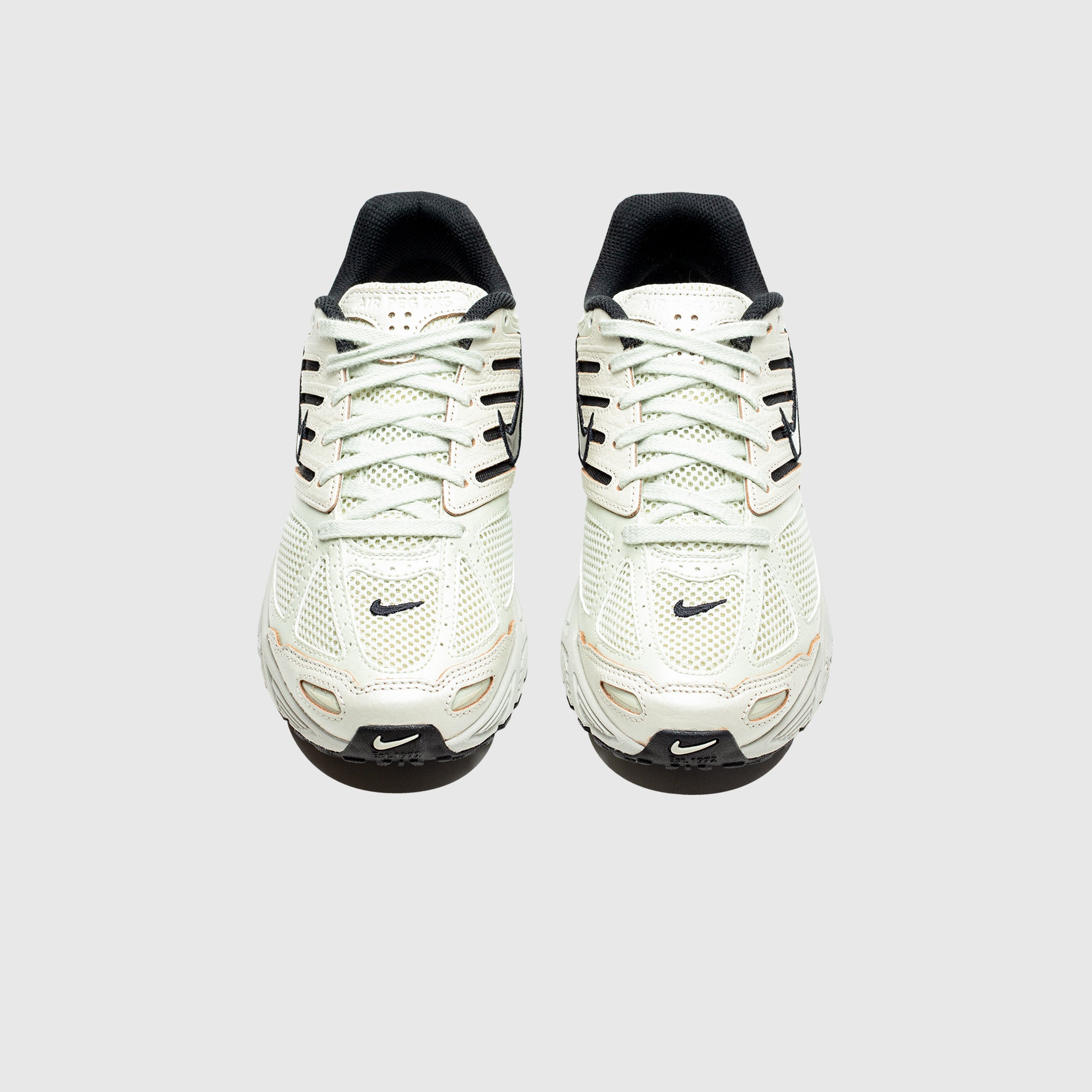 WMNS AIR PEGASUS 2K5 "SEA GLASS"