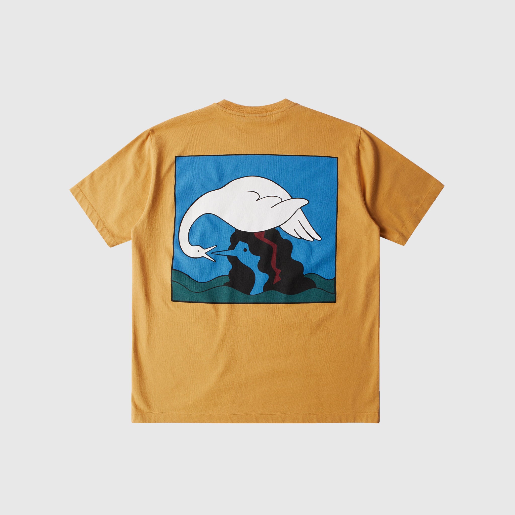 SWAN TO THE FACE S/S T-SHIRT