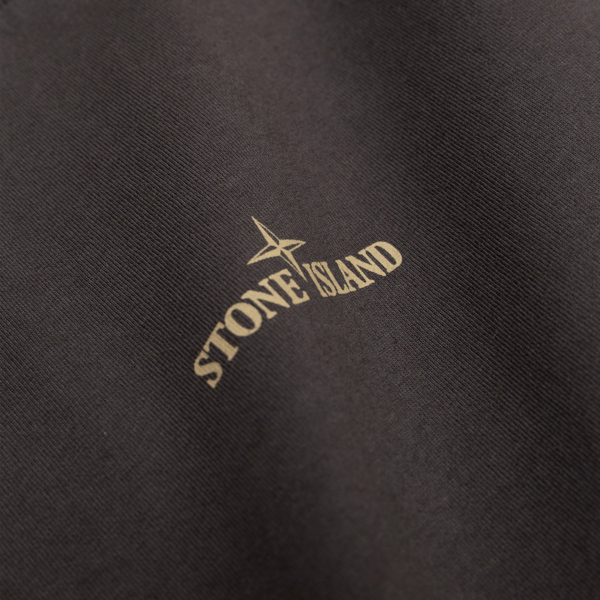 COMBED ORGANIC COTTON S/S T-SHIRT