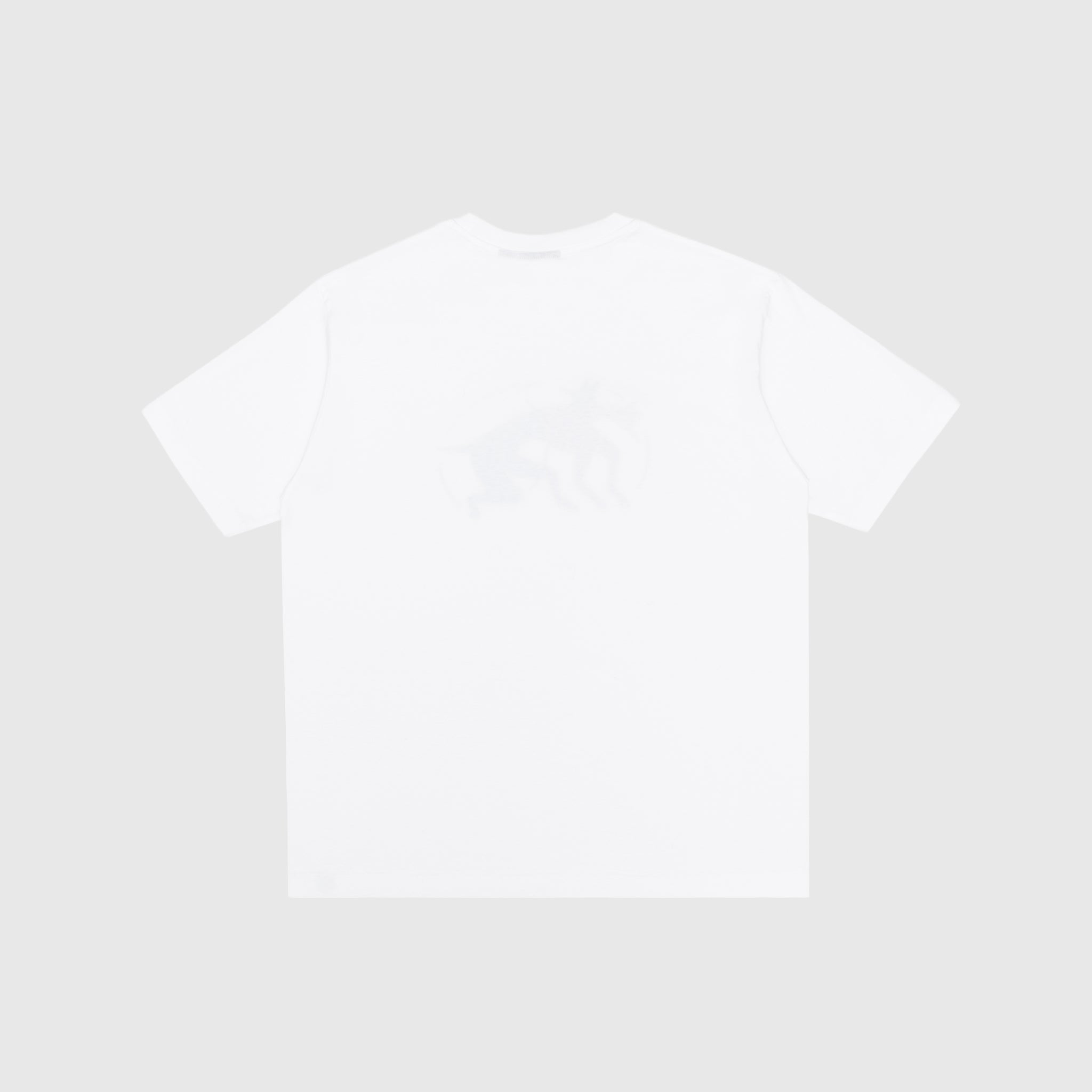THE ZOOMIES S/S T-SHIRT