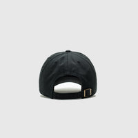 ALBUQUERQUE ISOTOPES CLEAN UP CAP