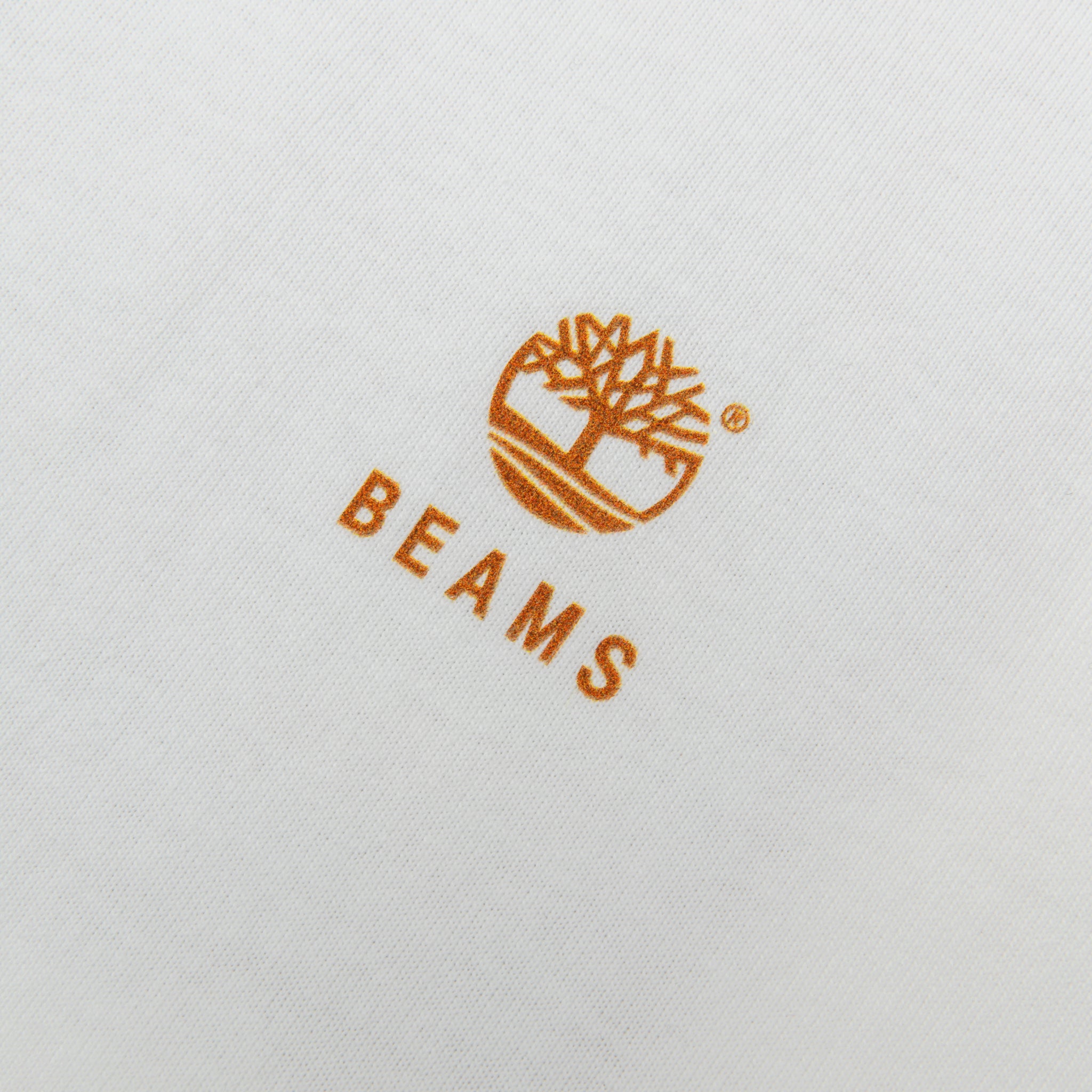 TIMBERLAND X BEAMS S/S T SHIRT