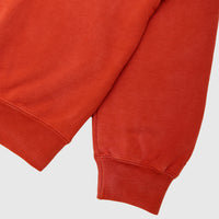 X BIKE AIR X NIGEL SYLVESTER SWEATSHIRT