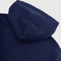 WOODGRAIN COLLEGIATE HOODIE