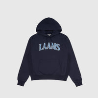 WOODGRAIN COLLEGIATE HOODIE