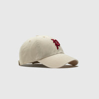PACKER X '47 CLEAN UP CAP