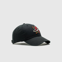 ALBUQUERQUE ISOTOPES CLEAN UP CAP